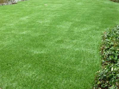 Artificial Turf, Mountain View, CA