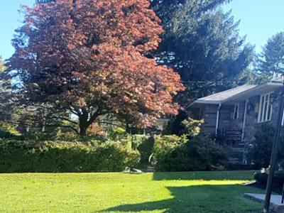 Landscape Design, Springfield, PA