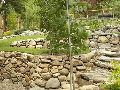 Landscape Installation