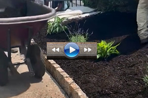 Norristown Video