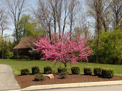 Landscape Design Services, West Chester, PA