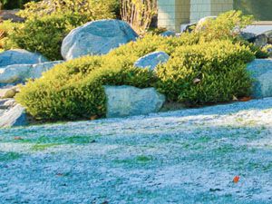 Winter Landscaping, 26