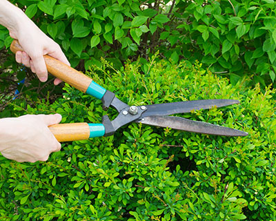 Landscape Maintenance, Garnet Valley, PA
