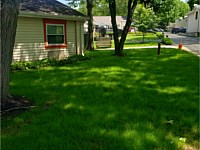 Lawn Renovation