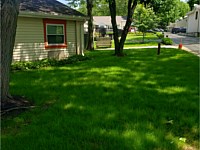 Lawn Renovation