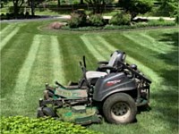 Landscaping