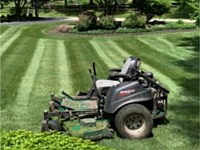 Lawn Maintenance, Springfield, PA