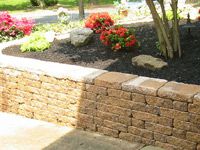 Landscape Design