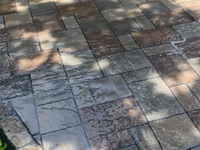Recent Project Philadelphia
