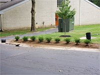 Landscaping