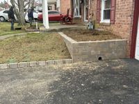 Recent Project Springfield