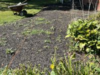 Recent Project Thornbury