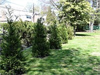 Landscaping